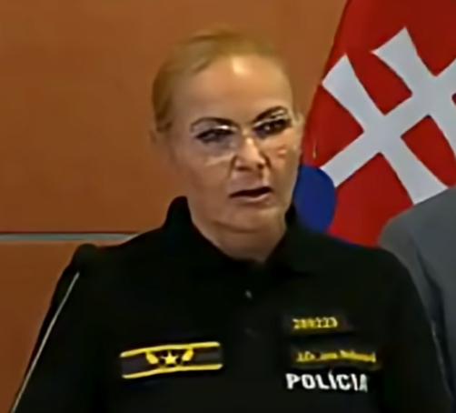 Ranks and Career Development of Slovak Female Police Officers, Part 5
