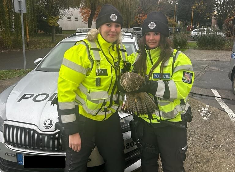 Czech female police officers rescued an injured bird